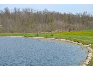 Property photo 24 - REAL ESTATE & PERSONAL PROPERTY AUCTION - 23.5+/- ACRES OFFERED IN 3 TRACTS OR COMBINATIONS IN EAST ALLEN COUNTY